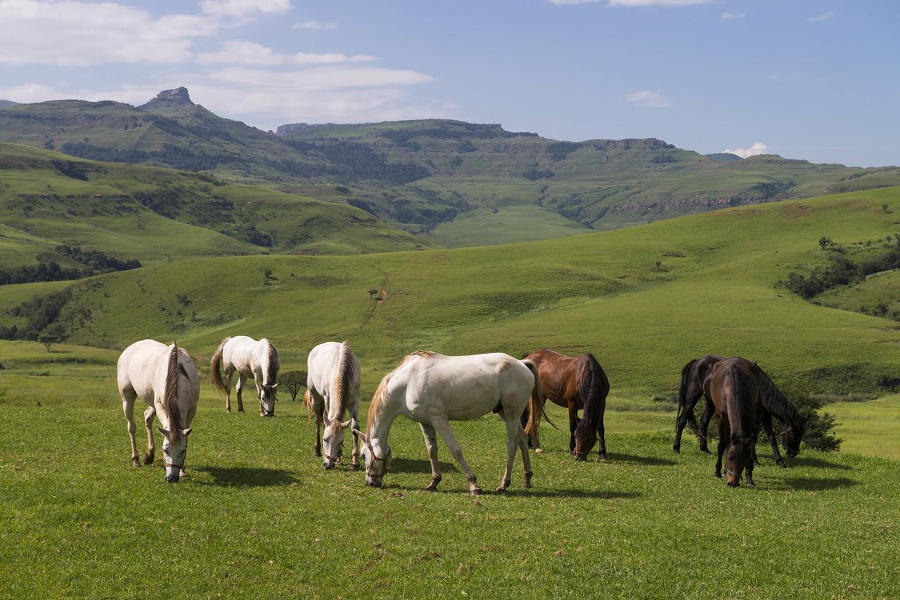 Aha Alpine Heath Resort Jagersrust Buitenkant foto